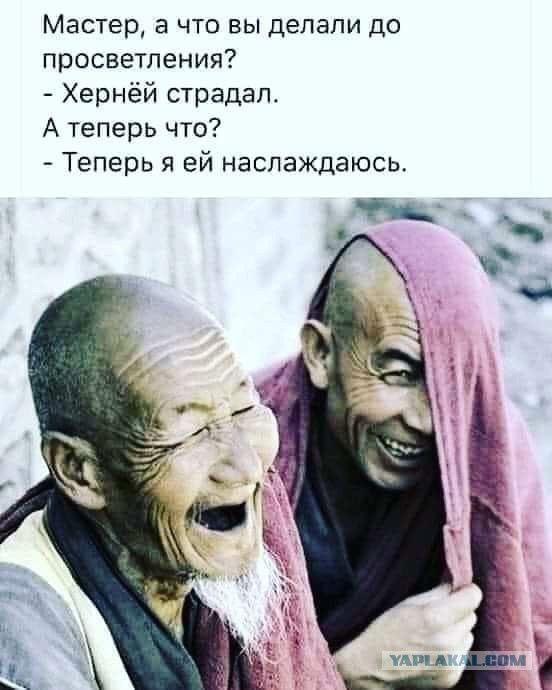 Весёлый полтишок 4.03