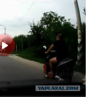 Естественный отбор