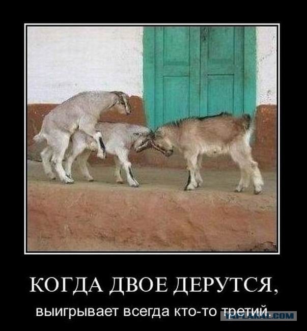 Пришел рефери и остановил драку