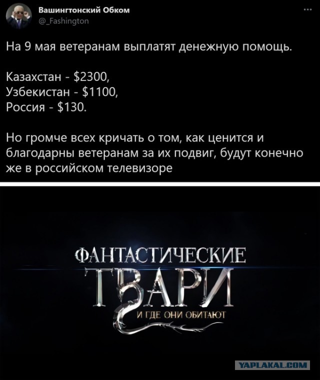 Весёлый полтишок 5.05