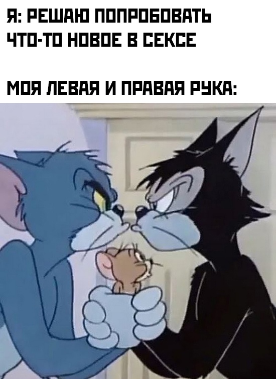 Весёлый полтишок 10.06.