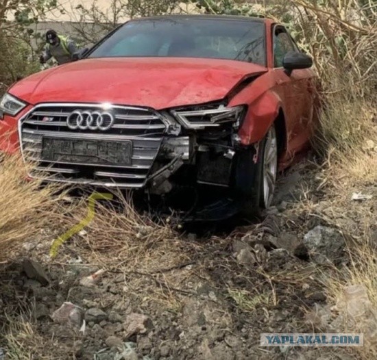 Больше его не видели