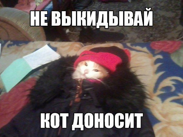 Юмор и прикольные картинки 11.10.2021