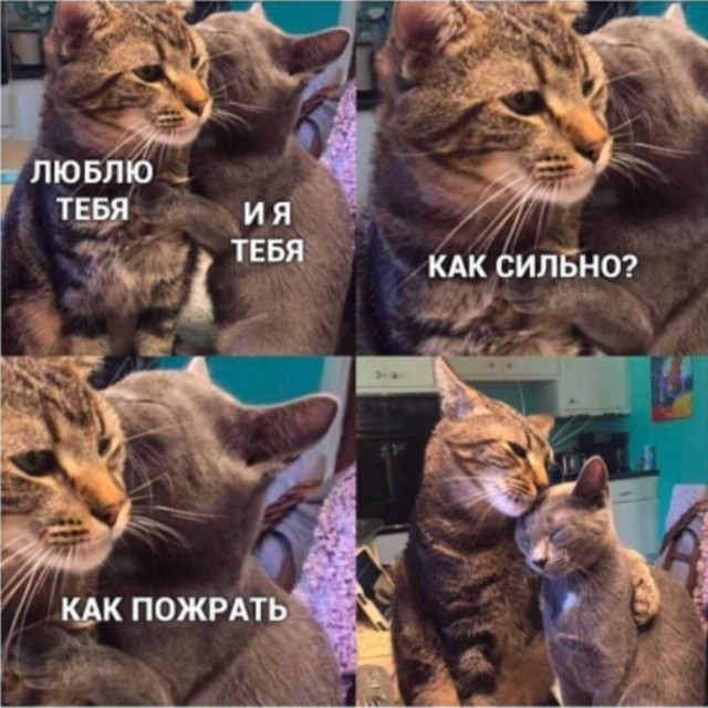 Картинки и мемы для настроения 11.11.2021