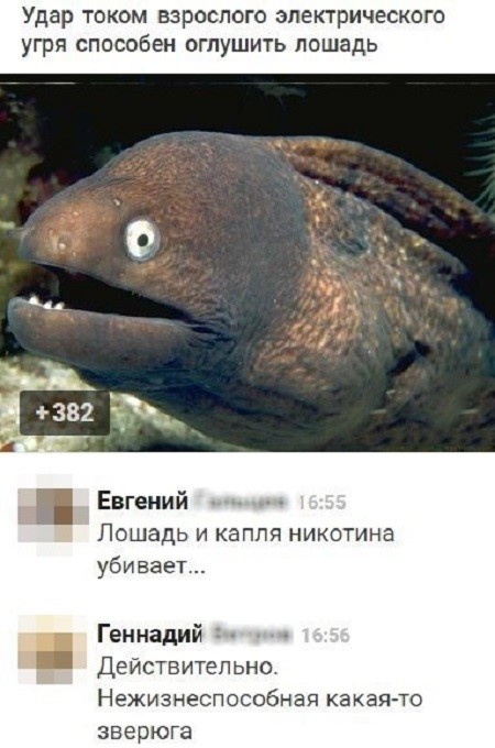 Подеградируем, побаяним...