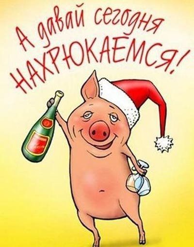 Алкопост 4.02.22