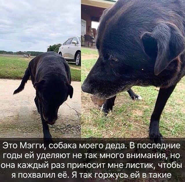 Так себе картинки 01.06.22