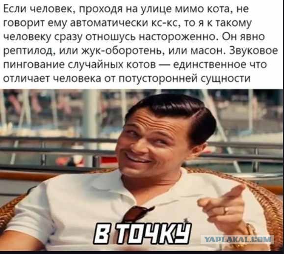 И вновь среда, дорогие деграданты