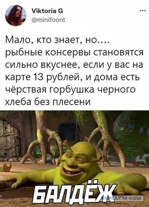 Скриншоты и комментарии из социальных сетей 3.08.22