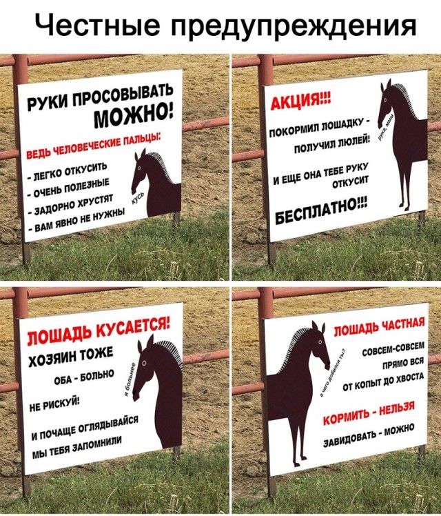Немного картинок для настроения - 131