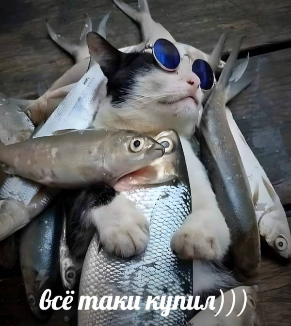 Картинки и мемы, всем хороших выходных
