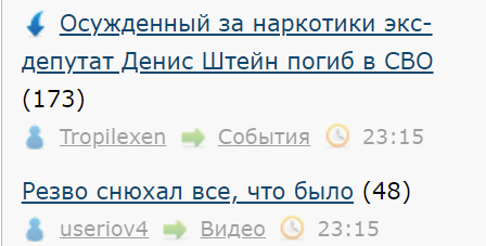 Осужденный за наркотики экс-депутат Денис Штейн погиб в СВО