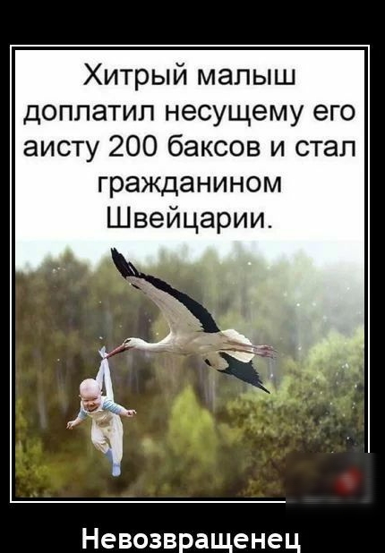 Аист на крыше, Мир на земле