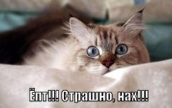 Снежный йух