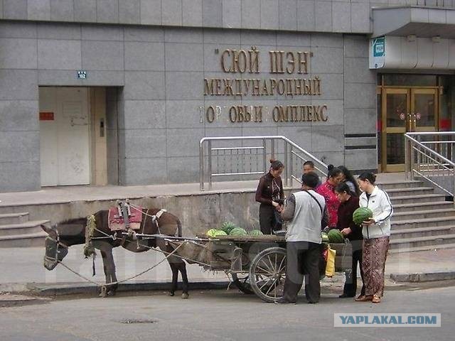 На чем ездят сами катайцы