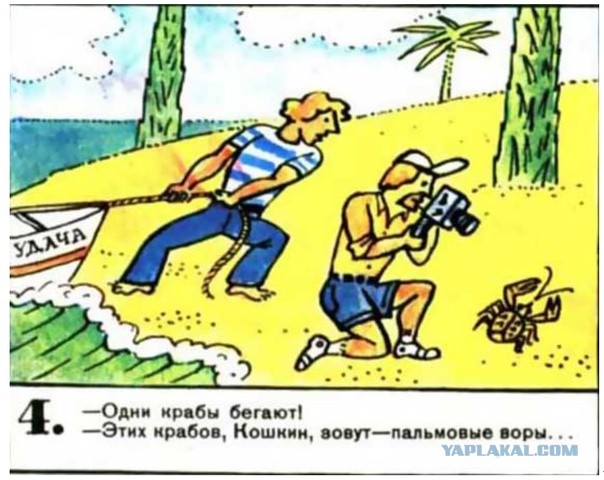 Нашествие Пальмовых воров во время семейного пикника