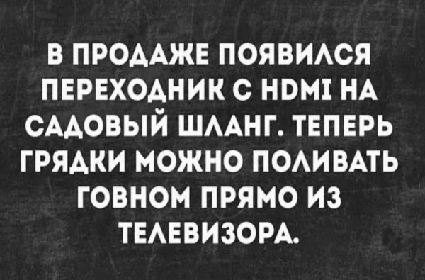 Весёлый полтишок 22.04.24