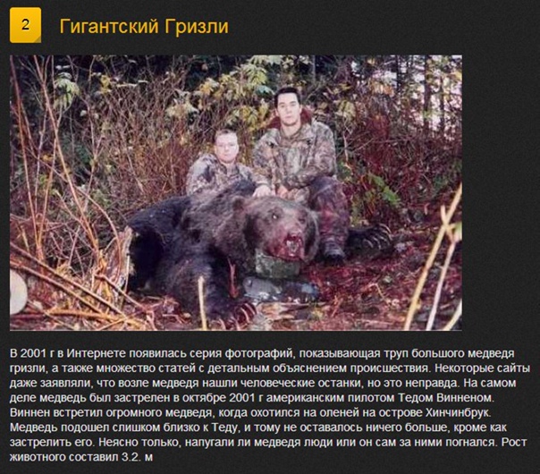 Самый большой в мире медведь оказался людоедом.