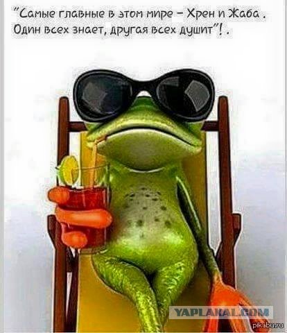 Завалялось тут случайно немного забавных картинок