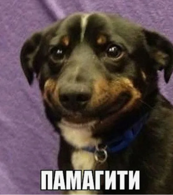Зрелость
