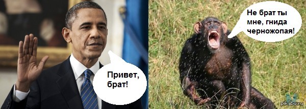 Рабочие обезьяны⁠⁠