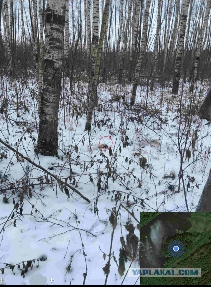Солевые кладоискатели всемером приехали на дело