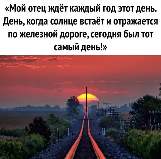 Так себе картинки 23.03.25