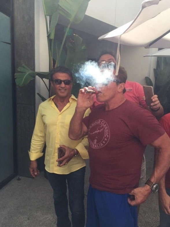 Так себе картинки 03.05.25