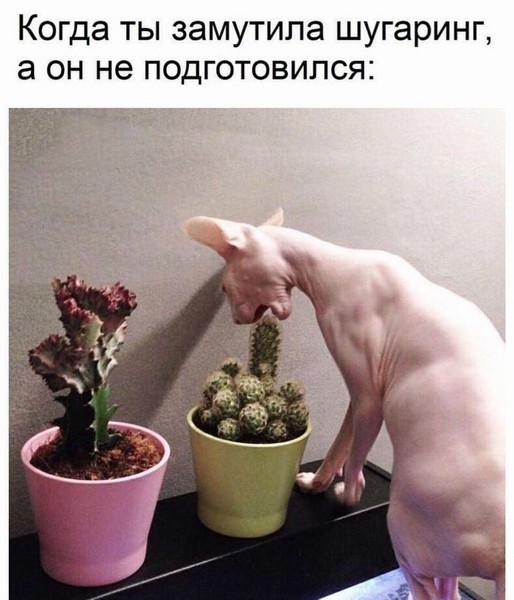 Ну что, господа. Послепраздничная дичь
