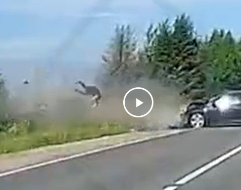 Под Торжком автомобилист устроил смертельное ДТП на встречке