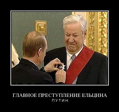 В России расширят список опасных пород собак