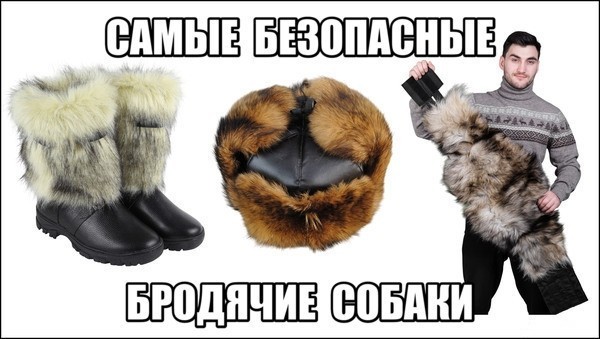 Зоошиза снова в деле