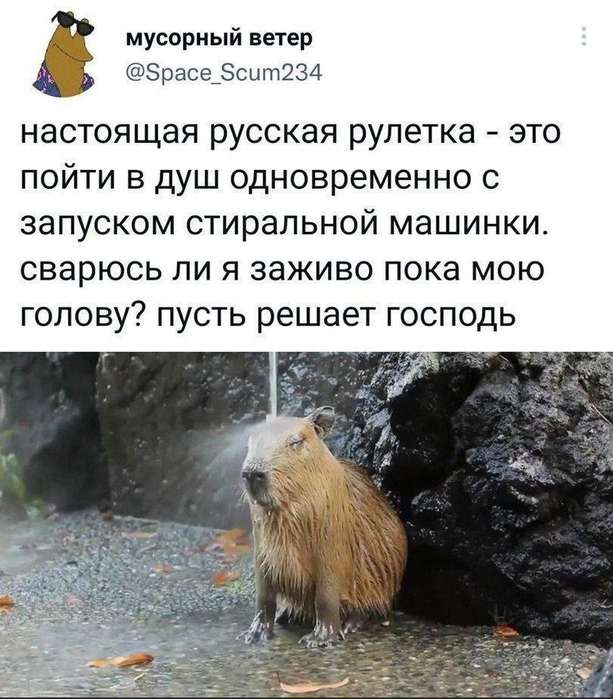 Картинки для деградации 104 (разной степени свежести)