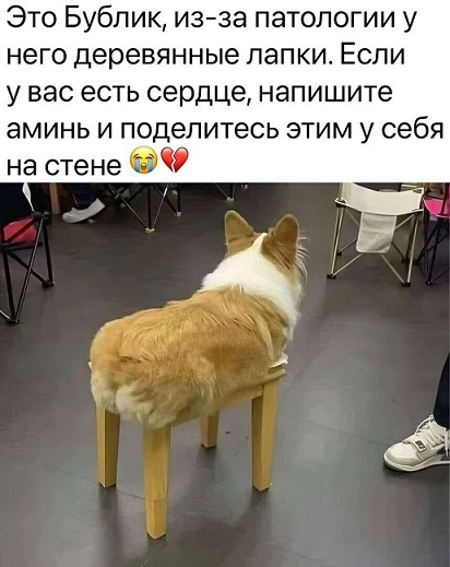 Отличного дня!