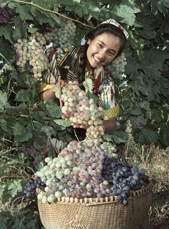 Фотографии из прошлого нашей страны – 138