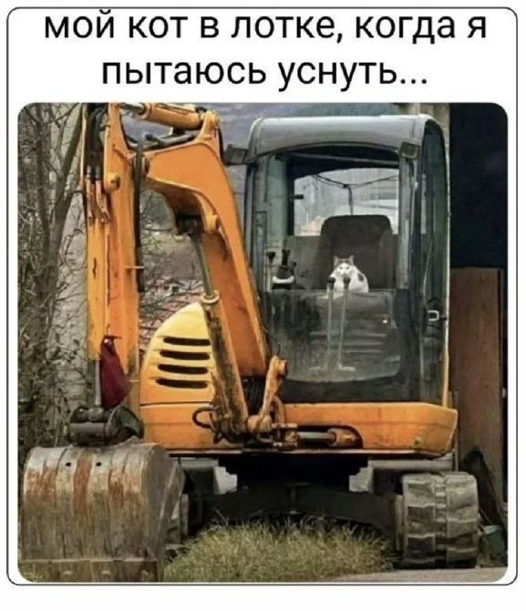 Четверговые картинки