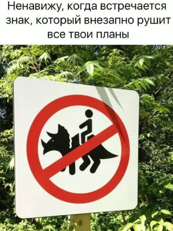 Картиночки, баянчики 22 апреля