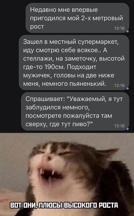 Картинки для деградации 221 (разной степени свежести)