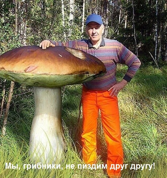 тРРРидцать тРРРи от 6 октября