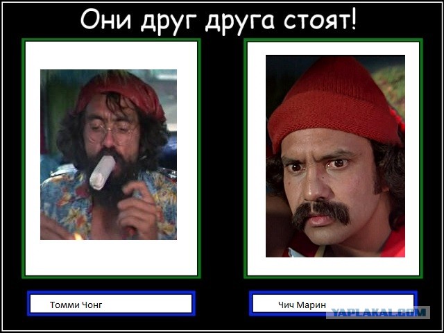 Они друг друга стоят!