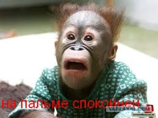 Рисковые ребята