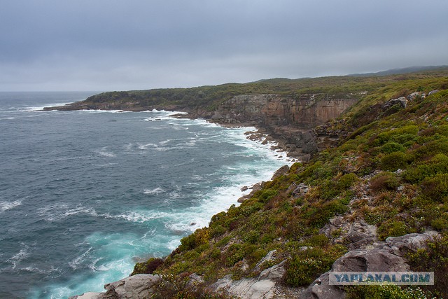 Австралия: Сидней и его окрестности