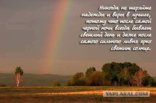 ЯПовцы - это все-таки сила