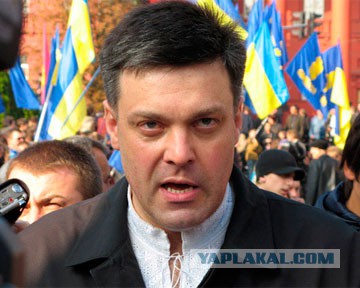 Какая отвратительная рожа (с)