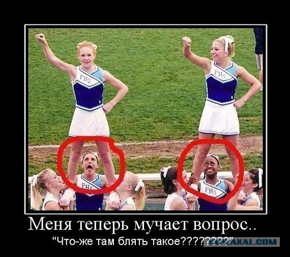 Смешные комментарии из социальных сетей (апрель)