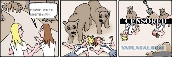 Заботливые медведи.