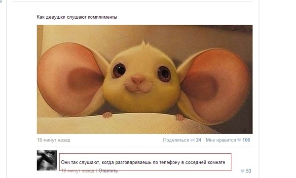 Комментарии из социальных сетей