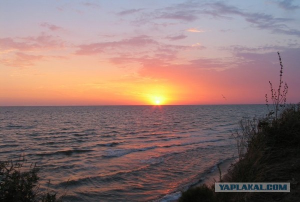 Азовское море. Тиздар