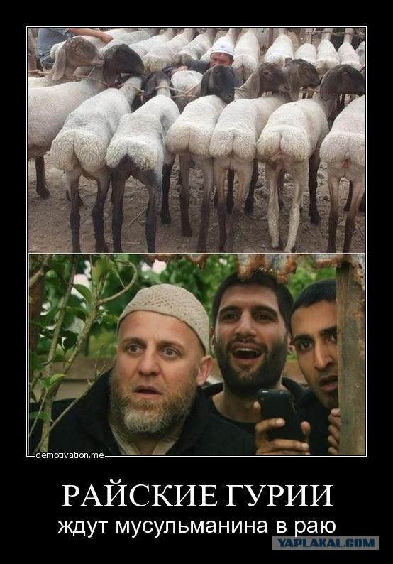 По прямой к аллаху ...