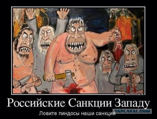 Меры России в ответ на санкции ЕС вызвали